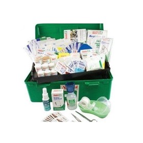 National Workplace First Aid Kit Polypropylene Portable Large Green