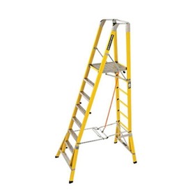 CorrosionMaster Fibreglass Step Platform Ladder | FPS 2.4