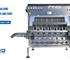 PND Fruit Processing Machinery - Mango And Kiwi Peeling Machine | PL4M PL6M PL8M