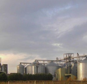 Elevator Re-Design from Grain to "Green Malt" Elevator Re-Design from Grain to "Green Malt"