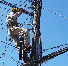 How to test the wood density of telegraph poles attacked by soft rot How to test the wood density of telegraph poles attacked by soft rot