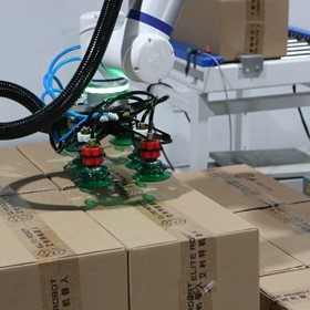 Robotic Palletising System CP Series