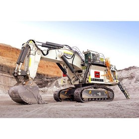 Mining Excavator | R9800 