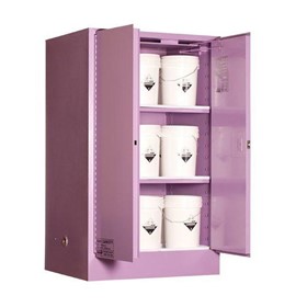 Corrosive Storage Cabinet 425L