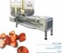 Fruit Processing Machine | PND Strawberry De-Calyx