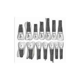 Direct Abutment System