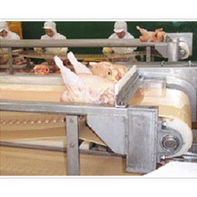 Conveyor Belts | PU & PVC Coated | Poultry Industry