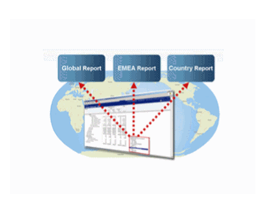 NetSuite - Global Accounting /ERP