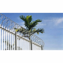 Security Fences