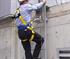 DBI-Sala - Ladder Safety System- Lad-Saf