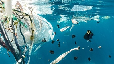 Preparing for Victoria's single-use plastics ban
