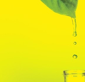 Natural and environmentally friendly solution launched to meet Australian beauty and skin care industry trend Natural and environmentally friendly solution launched to meet Australian beauty and skin care industry trend