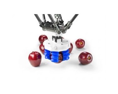 Robotic Grippers | Soft Grippers