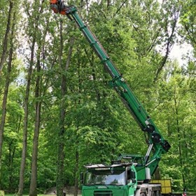 Telescopic Crane | Tree Care