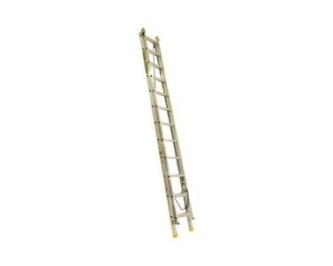 Gorilla - Single Ladder | 40-EL10/17-IH 