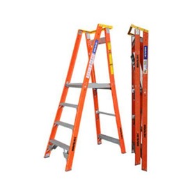 Platform Ladders – PROPF 10-Steps