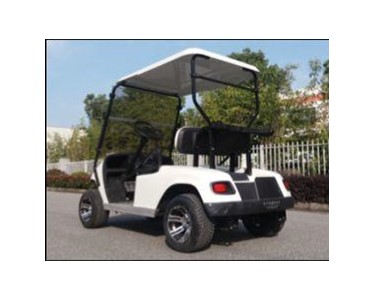 AW Series Electric Golf Car 2 Seats | AW2024K