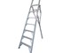 Indalex - Aluminium PROT Orchard Access Ladder | Pro Series