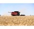 Case IH - Combine Harvester | 7250