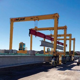 Rubbered Tyred Gantry Cranes MJ250HD