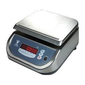 Stainless Steel Digital Bench Scale