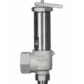 LNG-Safety & Relief Valves | 1720, 1729 Series