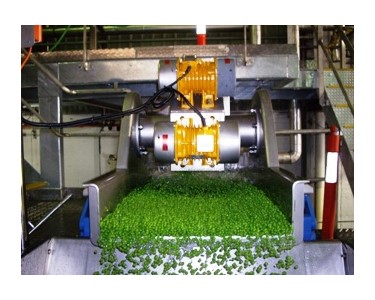 Proven Vegetable Processing