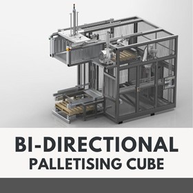 Bi-Directional Palletiser and Depalletiser System
