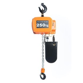 Electric Chain Hoists 250kg to 15Tonne