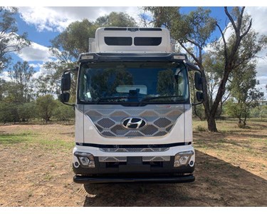 Hyundai - Refrigerated Truck | Pavise D115 Freezer Pantech
