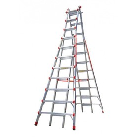 Telescopic Access Ladder Model 21 | Skyscraper