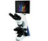 Veterinary Microscope | DM-500