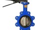 Europress - Lugged Butterfly Valve with stainless steel disc