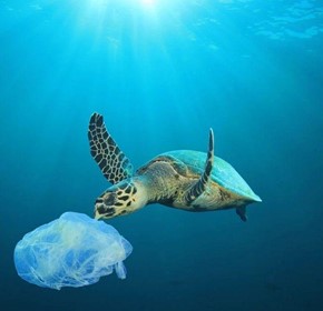 Stop Plastic or Stop Breathing? Stop Plastic or Stop Breathing?