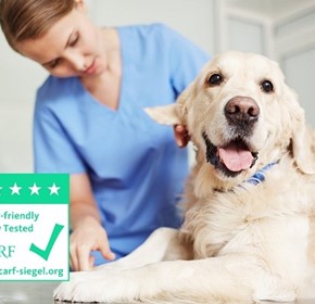 Strong against odors – the AiroDoctor air purifier is the solution Strong against odors – the AiroDoctor air purifier is the solution