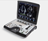 GE Healthcare - Lightweight Portable Ultrasound System | Vivid q