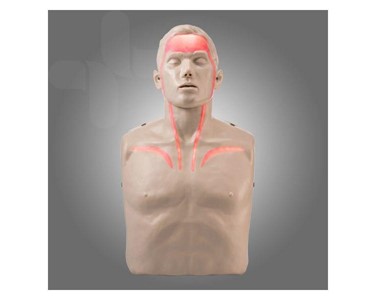 Brayden - CPR Manikin (Red Blood Circulation)