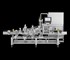 Multivac - Conveyor Belt Labelling Machine | L 320