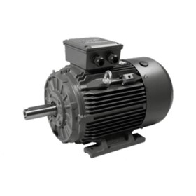 Three Phase Electric Motor | TCP Series