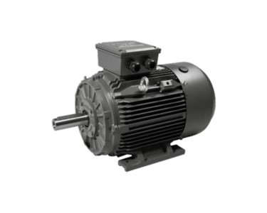 Techtop - Three Phase Electric Motor | TCP Series