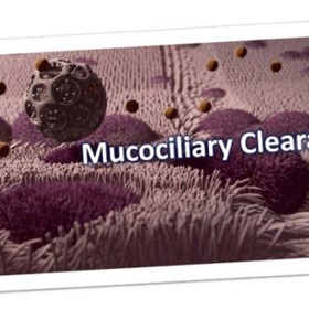 How Does Mucociliary Clearance Work – Mucus Clearance and Removal