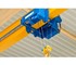 Cranetec - Electric Chain Hoist | 6.31