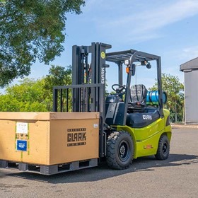 Green Dingo - L25L 2.5t LPG Container Forklift