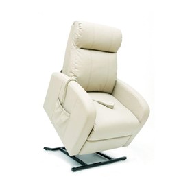 Power Lift Recliner | LC-101 (Euro Leather)