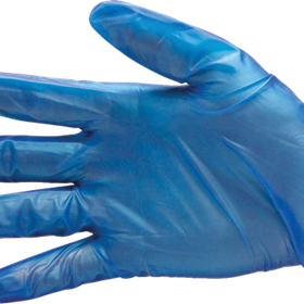 Clear Vinyl Powder Free Gloves