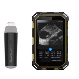 Veterinary Ultrasound Scanner Bestscan S3