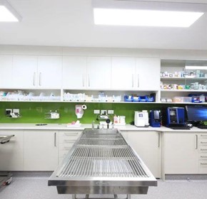 Veterinary Fitout Specialist House Call Vet Veterinary Fitout Specialist House Call Vet