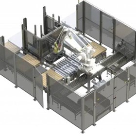 Hybrid & Robotic Palletiser | Palletising Solutions