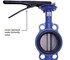 Valveco Lugged Butterfly Valves