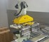 Customized Robot Grippers